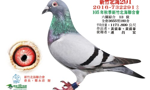 接骨木的作用是什么-接骨木的作用与功效及副作用禁忌专区_接骨木的作用和功能主治专区_接骨木的作用网